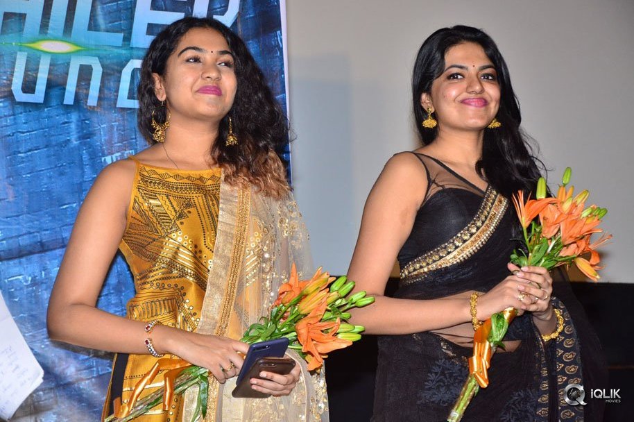 PSV-Garuda-Vega-Movie-Trailer-Launch